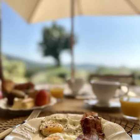 Le Mas Saint Michel Bed & Breakfast *